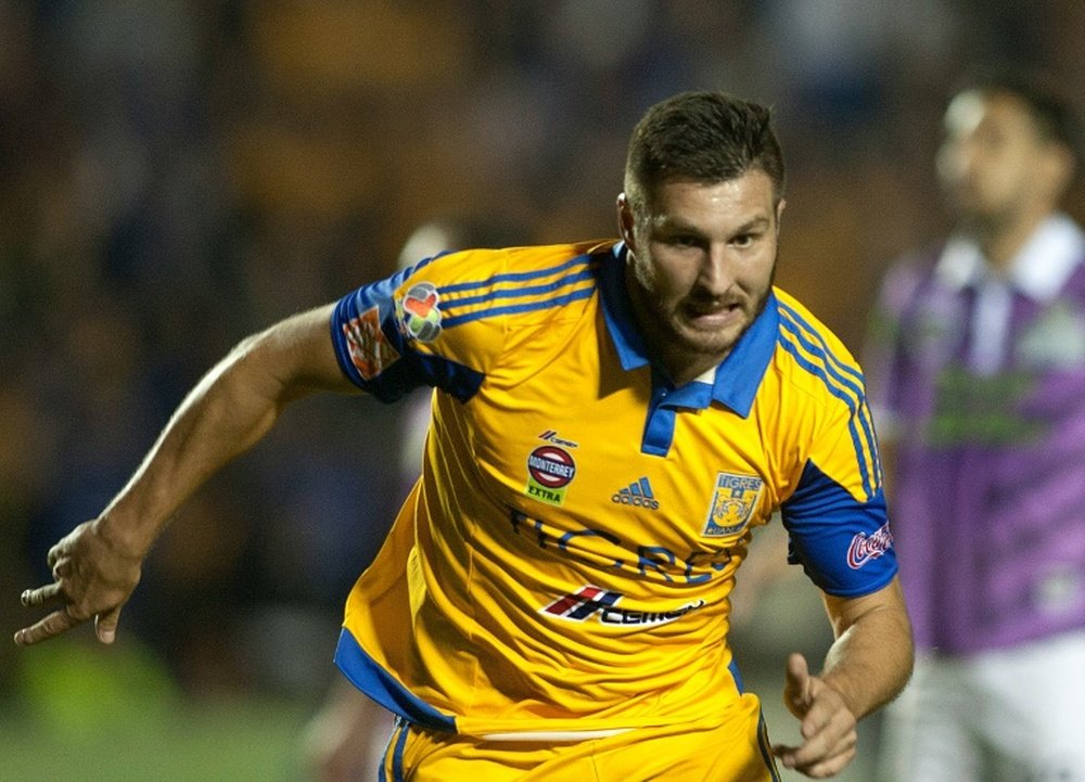 Andre-Pierre Gignac could be offered a move to Premier League. AFP PHOTO/Julio Cesar Aguilar