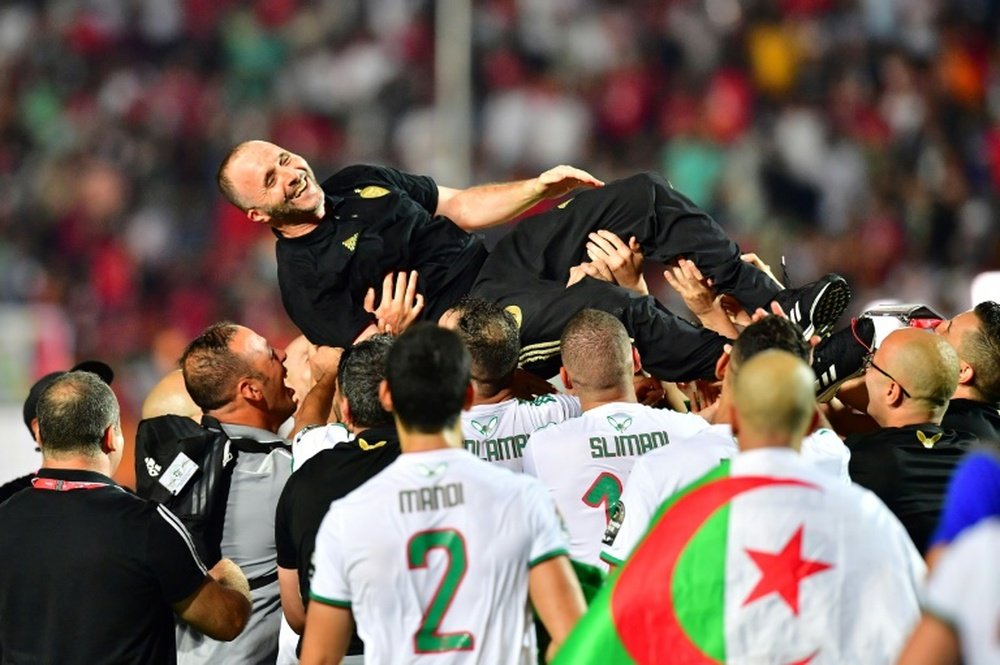 Le sélectionneur de l'Algérie Djamel Belmadi porté par ses joueurs en liesse après la victoire face au Sénégal en finale de la CAN-2019, le 19 juillet 2019 au Caire