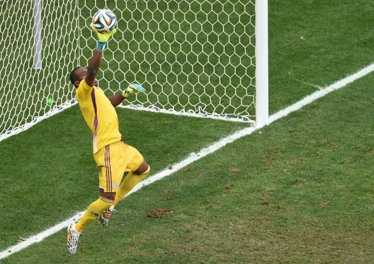 Nigeria 'keeper Enyeama quits international football