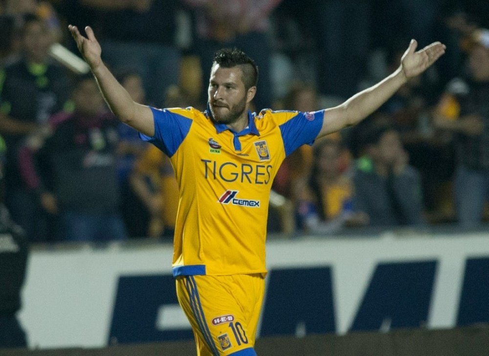 André-Pierre Gignac célèbre son but avec les Tigres de Monterey lors du match contre Leon, lors du Tournoi de clôture du championnat du Mexique, à Monterey, le 31 janvier 2016