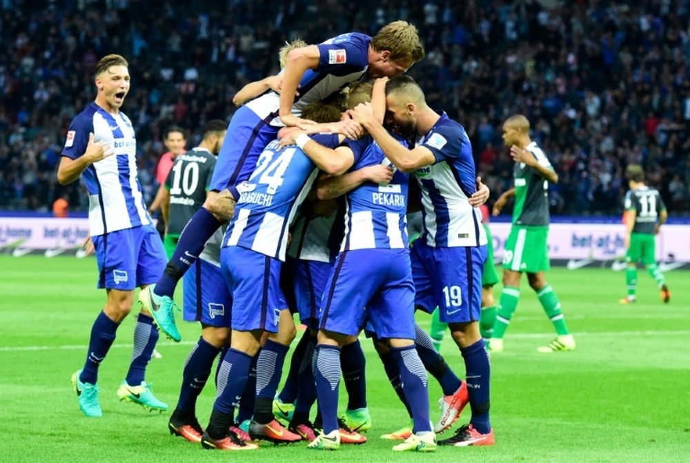 La joie des joueurs du Hertha se congratulent après un but contre Schalke 04. AFP