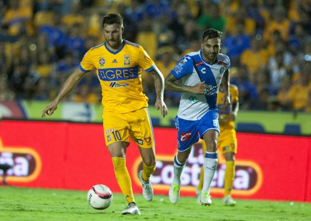 Tigres cayó derrotado ante Puebla. AFP/Archivo