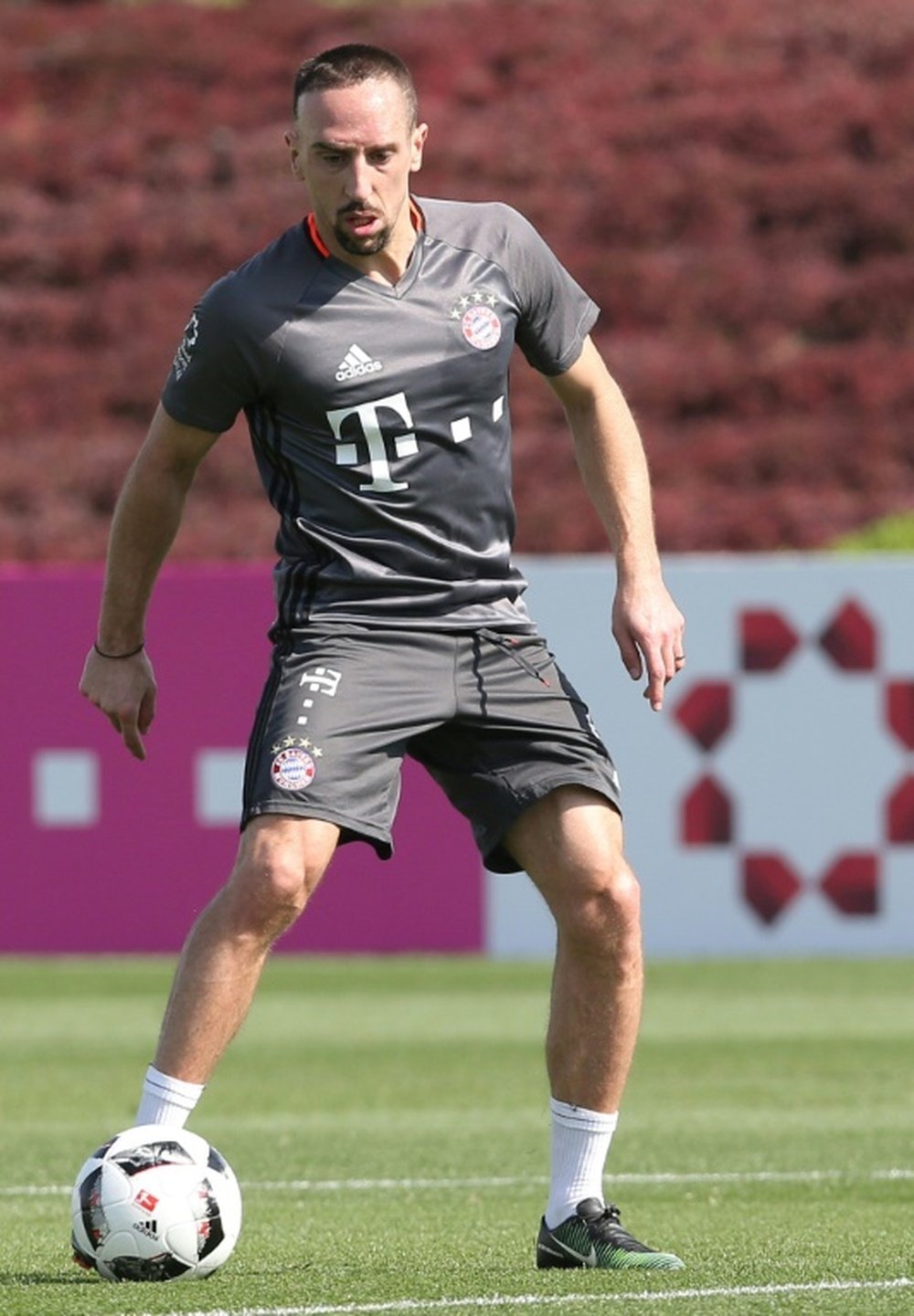 Franck Ribery à l'entraînement avec le Bayern. AFP
