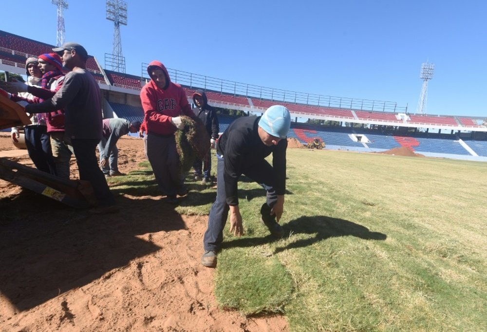 Des ultras du club paraguayen de Cerro Porteno posent la pelouse de leur nouveau stade. AFP