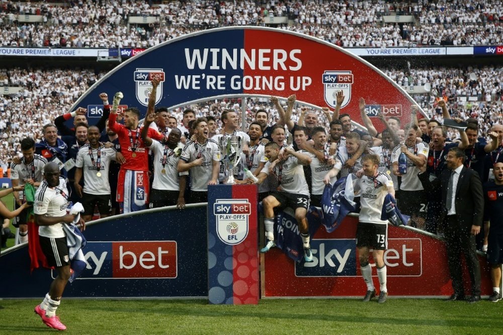 Fulham went up through the play-offs last season. AFP