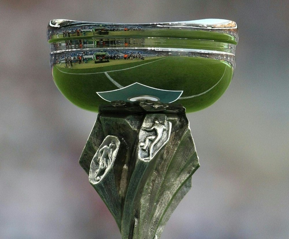 Le trophée de l'Euro -19 ans détenu par la France, avant l'édition 2017 en Géorgie. AFP