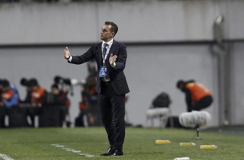 Cannavaro, nada contento con la situación de la Selección Italiana. EFE/Archivo