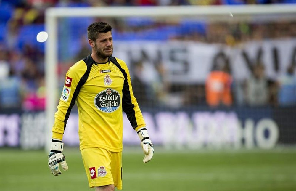 Fabri has signed for Fulham on a three-year deal. EFE