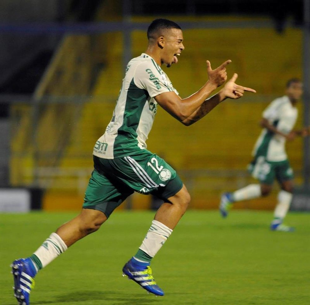 Real Madrid are on the verge of signing Palmeiras star Gabriel Jesus. EFE/Archivo