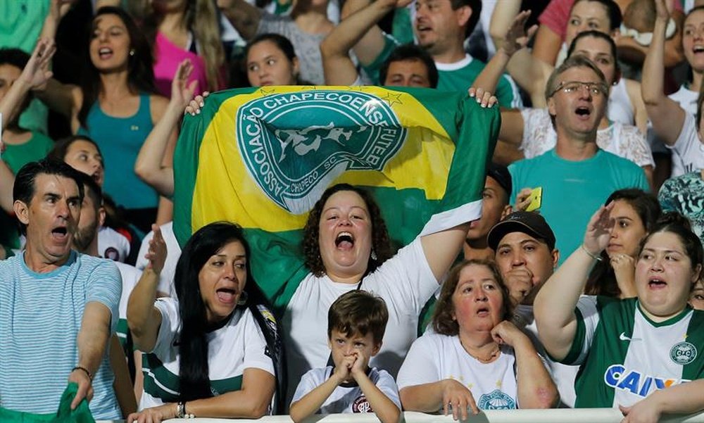 Vestidos de verde y blanco, los hinchas volvieron a entonar la estrofa de Somos todos Chape, la misma que los jugadores del equipo cantaron en el vestuario cuando se clasificaron para la final de la Copa Sudamericana y que se ha convertido en un lema del equipo. EFE/Archivo