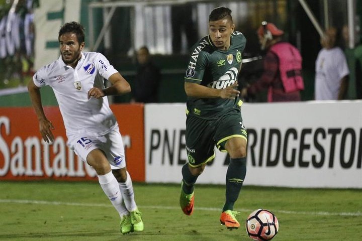 Udinese apresenta proposta por jovem lateral do Palmeiras