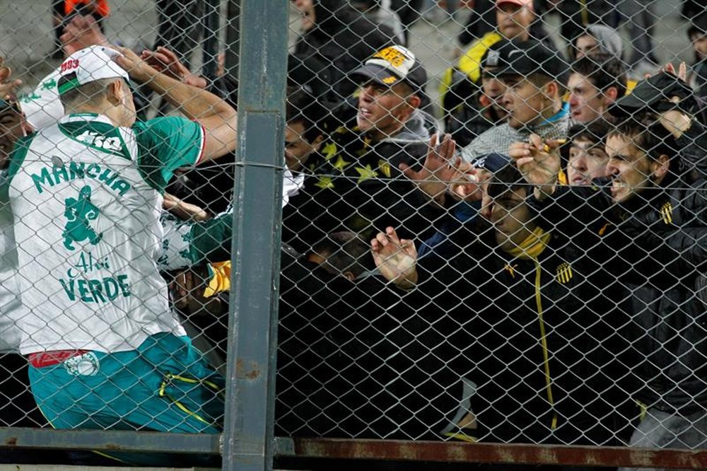 Depois da briga contra o Peñarol, Palmeiras trabalha intensamente em sua defesa. EFE