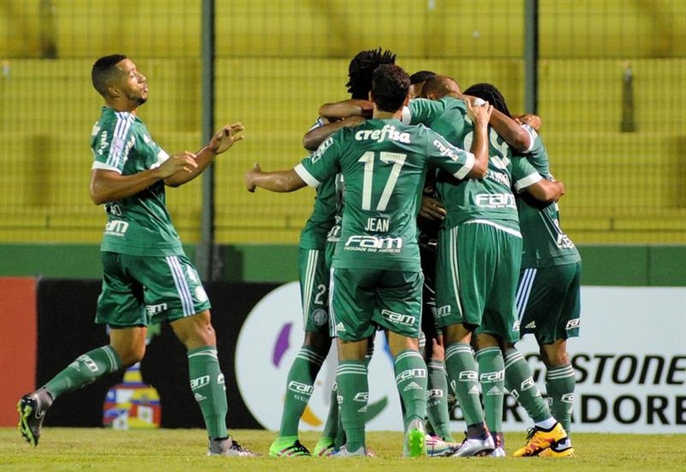 Palmeiras derrotó por 1-0 a Coritiba. EFE/Archivo