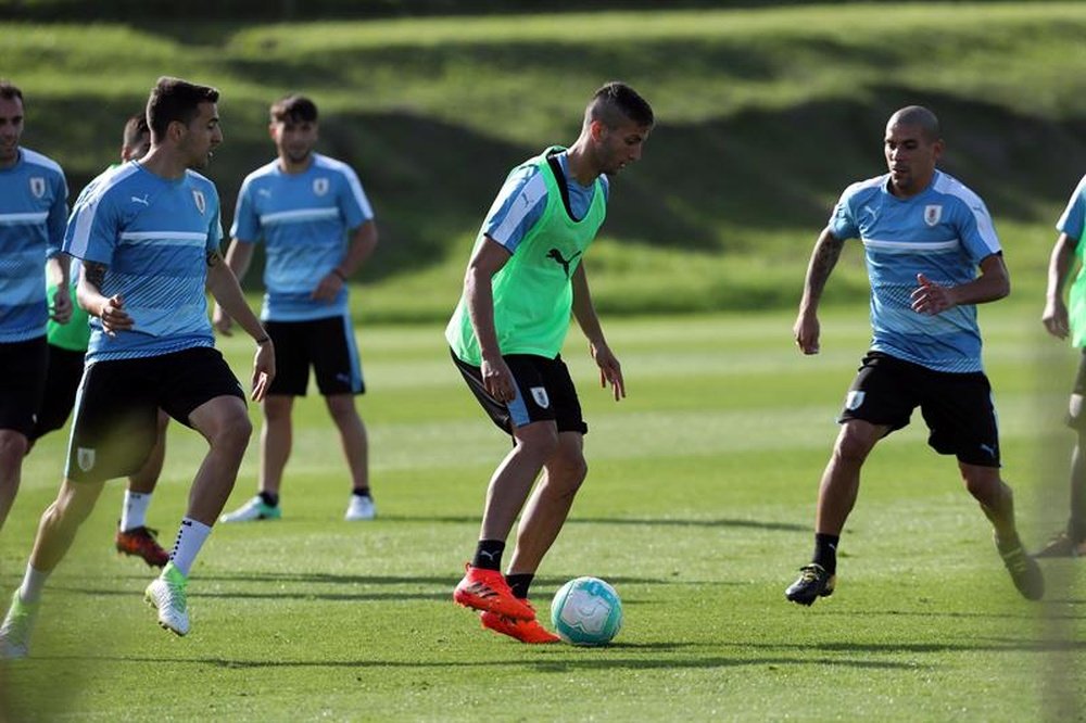 La Selección Uruguaya aún no sabe dónde se alojará en Rusia. EFE/Archivo