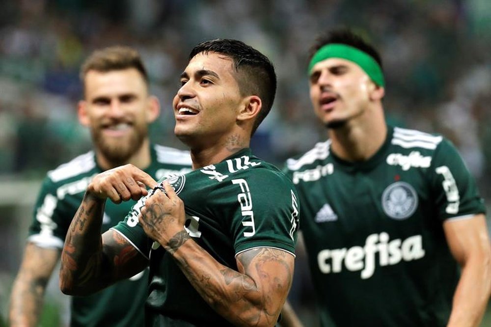 Avançado de volta ao Palmeiras. EFE