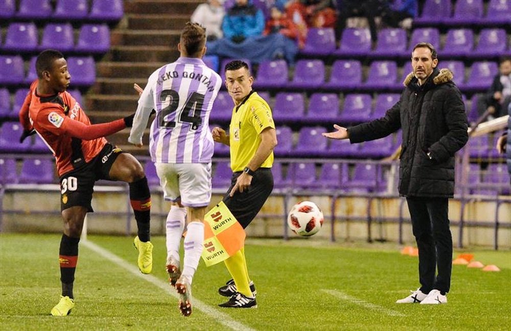 Vicente Moreno ha llevado al Mallorca al 'play off'. EFE
