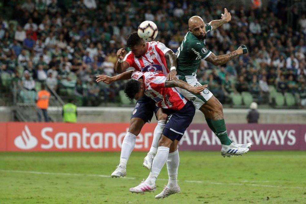 Palmeiras quiere renovar a su líder Felipe Melo. EFE