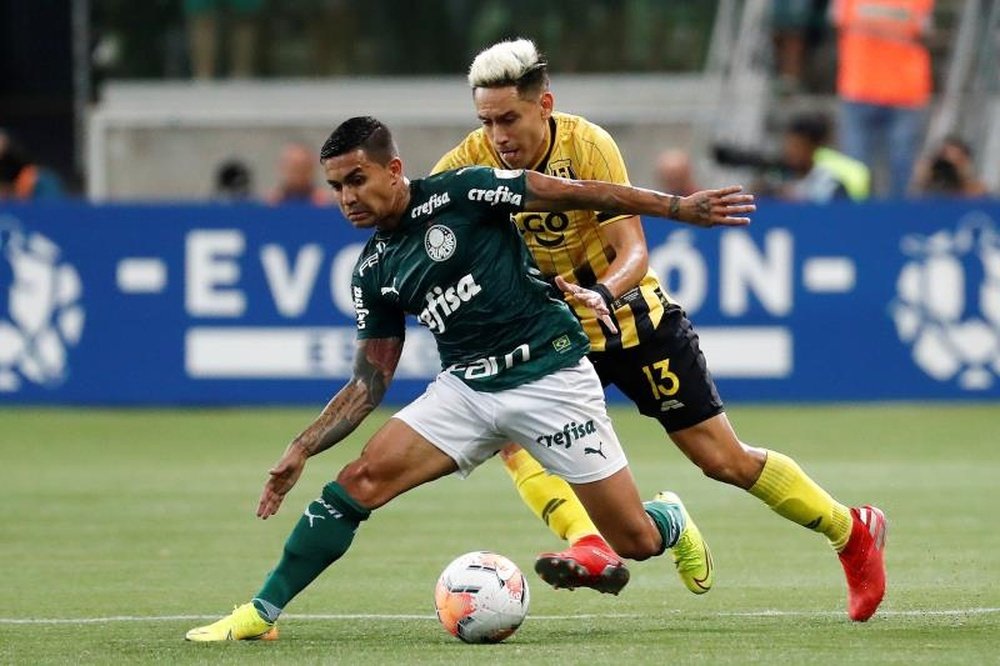Dudu volta ao Palmeiras: veja os números do atacante. EFE/Sebastião Moreira