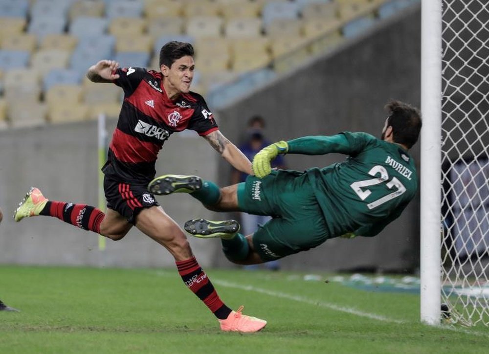 Pedro marcou o primeiro gol do Flamengo contra o Fluminense. EFE/Antonio Lacerda/Arquivo