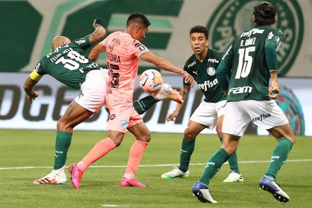 Andrey acalma ânimos enquanto Palmeiras ainda busca seu futuro técnico. EFE