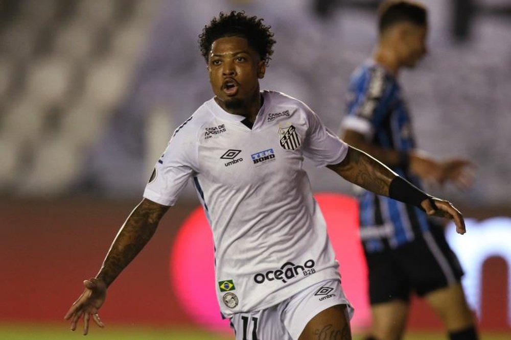 Le probabili formazioni di Palmeiras-Santos. EFE