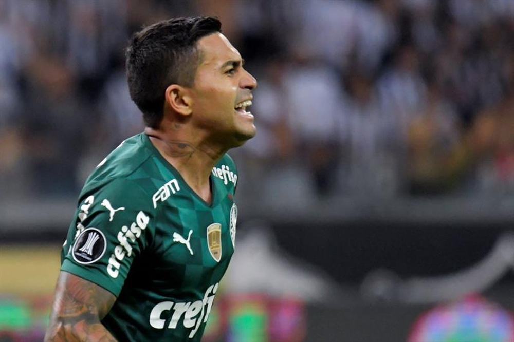 Onde assistir ao vivo Athletico-PR x Palmeiras, pelo Brasileirão Série A 2021? EFE/Washington Alves