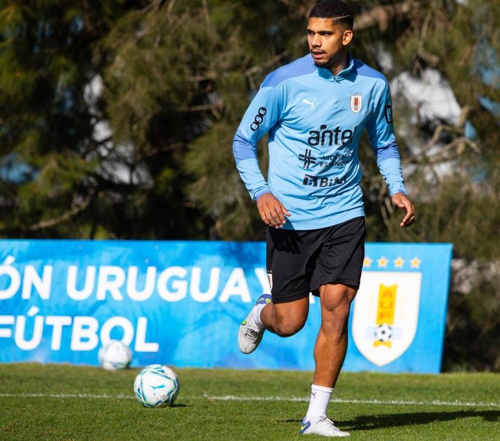 Araujo a encore une chance de participer au Mondial avec l'Uruguay. afp