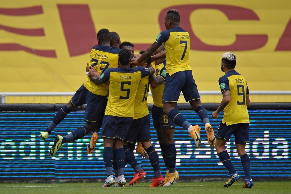 L'Équateur n'a pas été sanctionné par la FIFA et ira au Mondial. efe