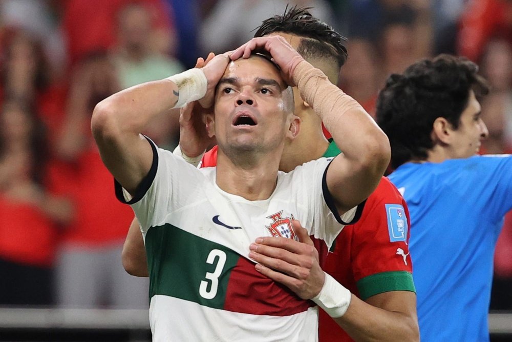 Pepe criticised refereeing. EFE