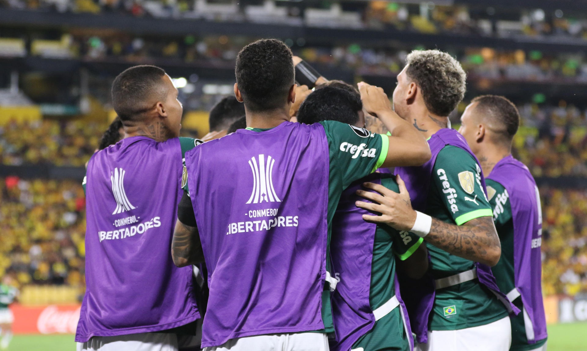 Palmeiras, a por el liderato en el Brasileirao. EFE