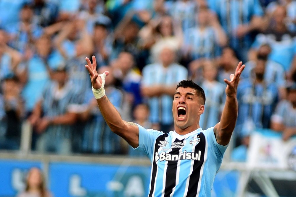 Gremio were once again without Luis Suarez. EFE