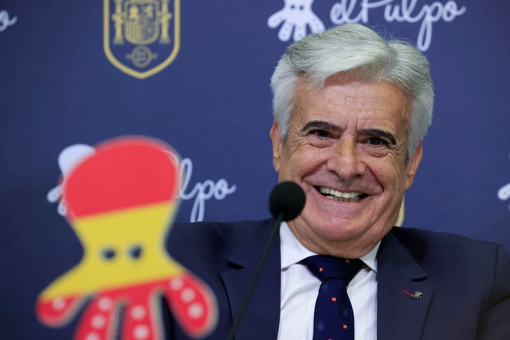 Pedro Rocha was handed a two-year suspension after Spain won the Euros. EFE