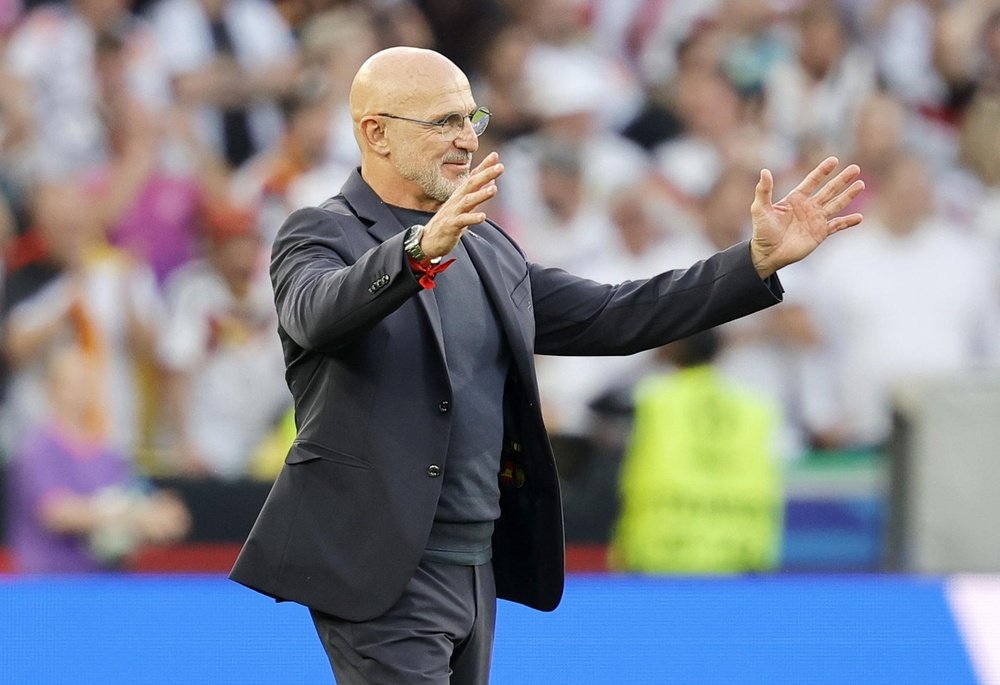 Luis de la Fuente regretted the state of the pitch in Spain's draw against Serbia. EFE