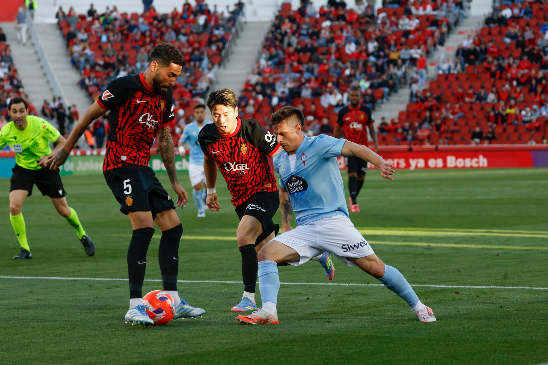 Alfon está demasiado despierto para un Mallorca dormido