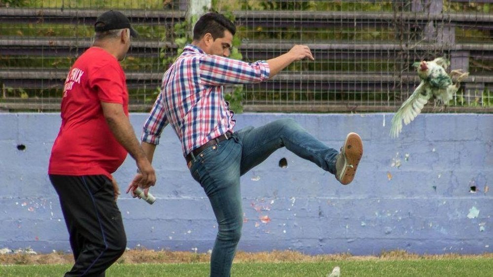 Fenix's manager Alegari kicked a chicken during their match against Racing. Twitter