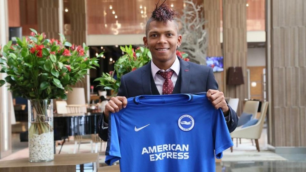 Hughton's side have announced the signing of Ecuadorian Billy Arce. BrightonAndHoveAlbion