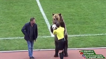 The bear has been trained to hand the ball to the referee. Screenshot