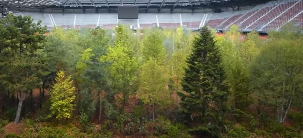 ¡Crean un bosque dentro de un estadio! Captura/Youtube/FAZ