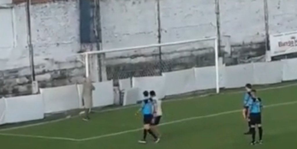 Una bandada de avispas interrumpió un partido en Argentina. Captura/Ole
