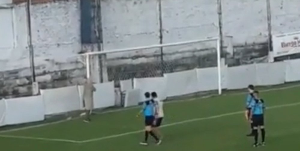 Una bandada de avispas interrumpió un partido en Argentina. Captura/Ole
