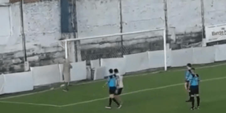 Una bandada de avispas interrumpió un partido en Argentina