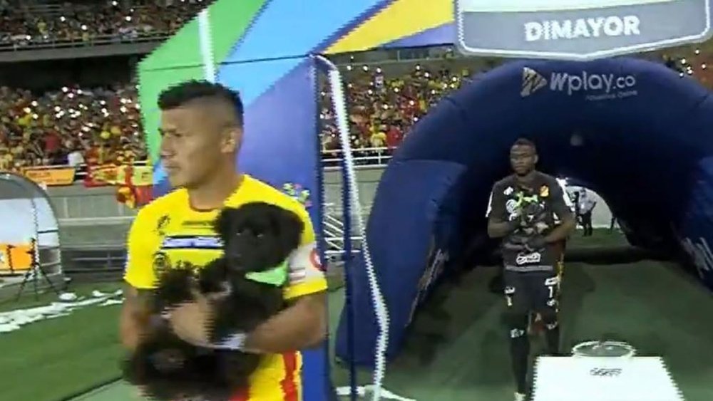 ¡Jugadores de Deportivo Pereira saltaron al verde con perros en sus brazos! Captura/WinSports