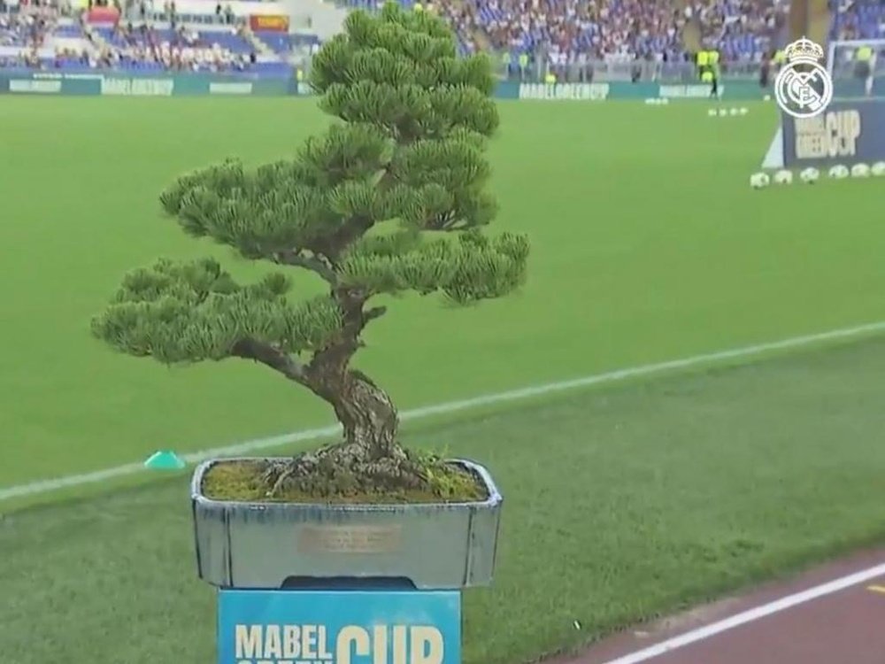 Un bonsaï sera remis au vainqueur du Roma-Real Madrid. Capture/RMTV