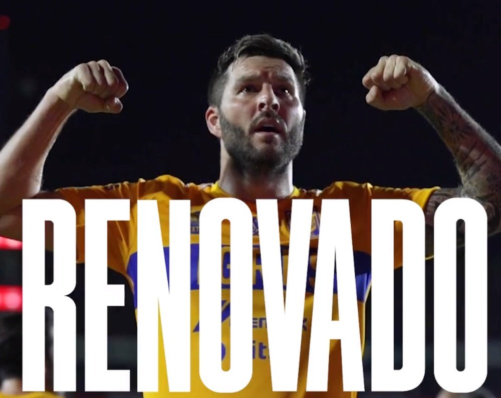 Gignac jura amor eterno a Tigres. Captura/@TigresOficial