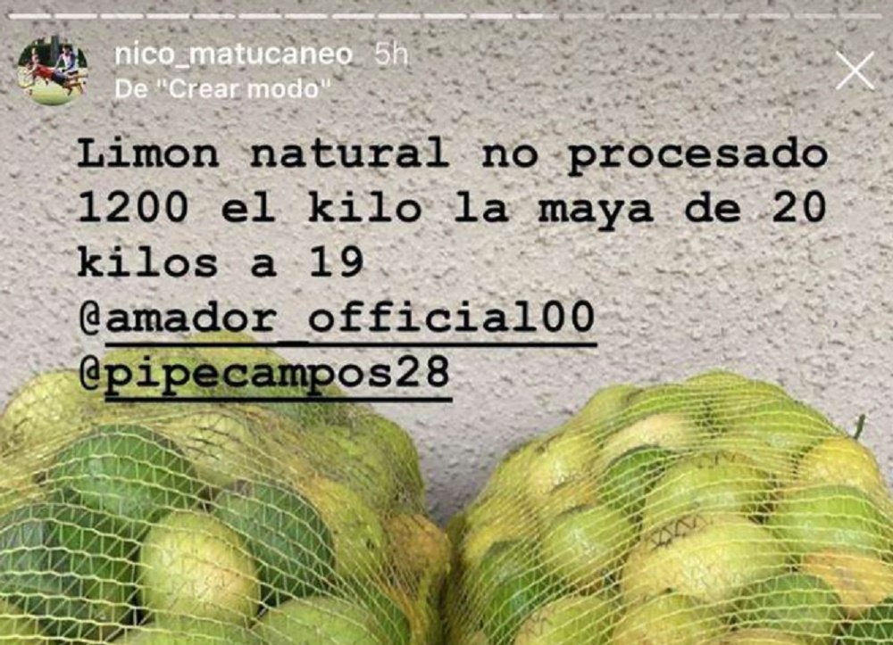 Maturana vende limones y aguacates. Captura/Nico_matucaneo