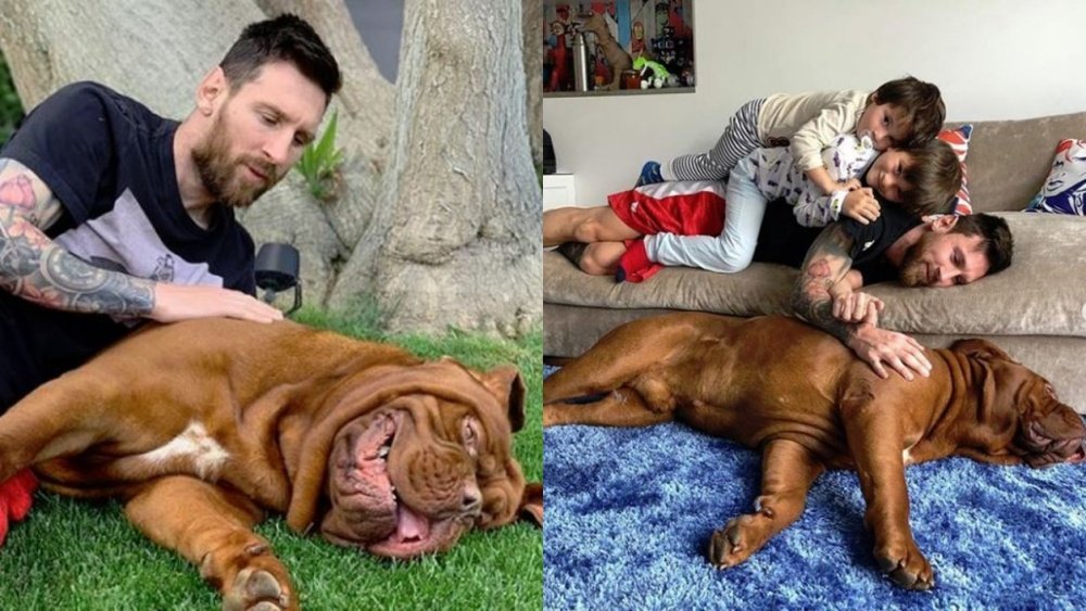 Recarregar baterias na companhia da família e do seu cão, Hulk. Instagram/LeoMessi