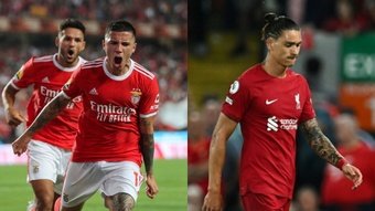 Los números no mienten: el Benfica no extraña a Darwin Núñez