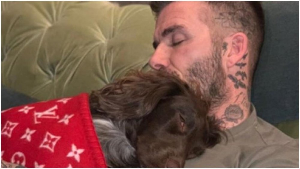 Beckham, um amante de animais. Instagram/VictoriaBeckham