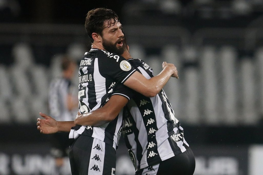 Botafogo respira y deja a Avaí al borde del infierno. Botafogo