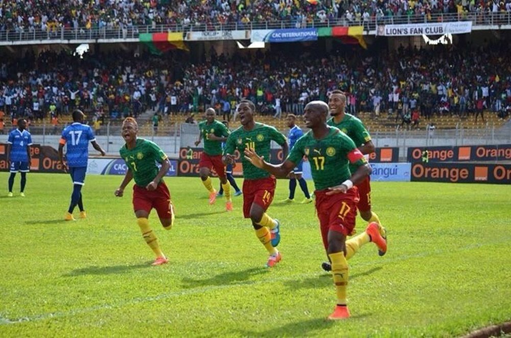 El camerunés Stephane Mbia celebra su tanto a Níger. Twitter